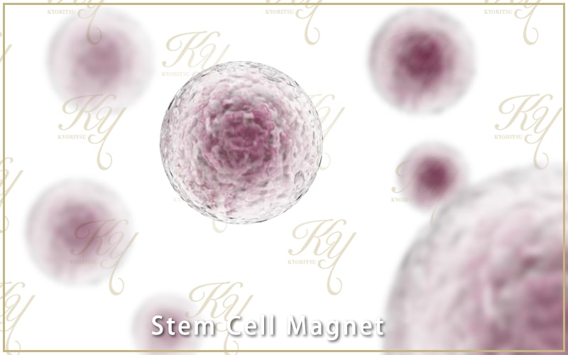 Stem Cell Magnet効果