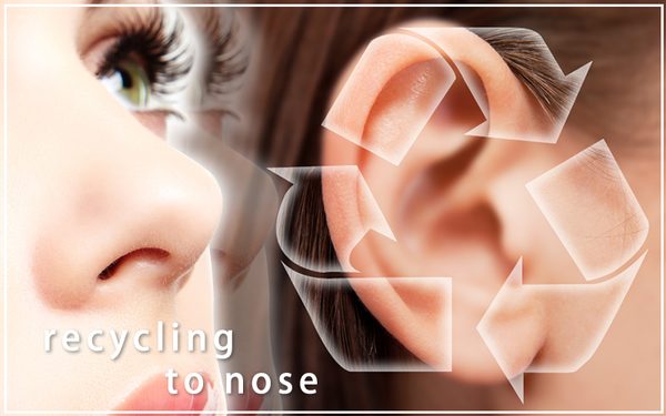 鼻と耳の画像